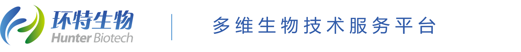 广告